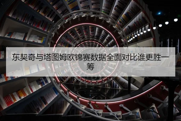 东契奇与塔图姆欧锦赛数据全面对比谁更胜一筹